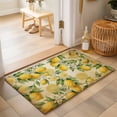 thumbnail image 1 of Entryway Rug 2'x3', Lemon Kitchen Runner Rugs Non-Slip Carpet Mats, Farmhouse Vintage Summer Retro Fruits Yellow Brown Bedside Rugs Runners Washable Floor Carpet for Bathroom Laundry Room, 1 of 8