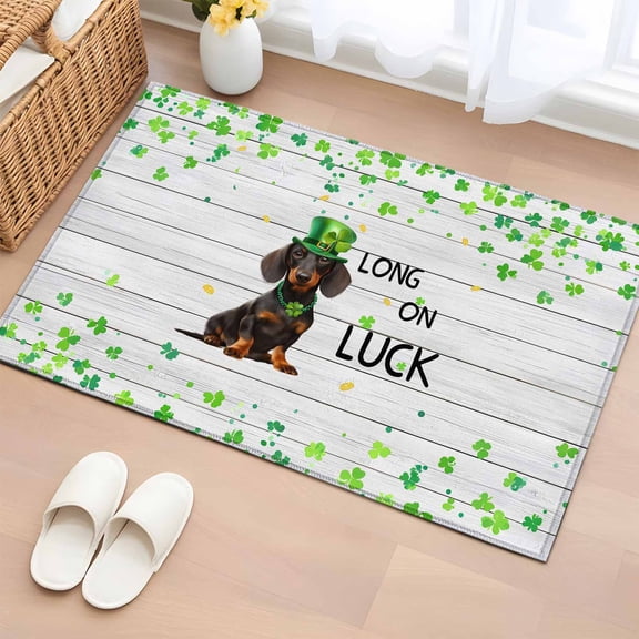 Entryway Rug 2'x3', St. Patrick's Day Small Rug for Kitchen Bathroom Door Mat Indoor Entrance, Lucky Hats Dogs Grass Striped Gray Wood Non-Slip Area Rugs Floor Mats Carpet Front Door Rugs