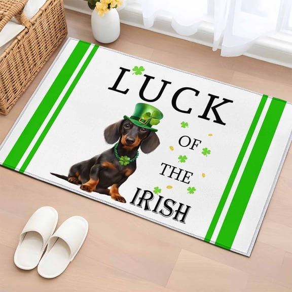 Entryway Rug 2'x3', St. Patrick's Day Small Rug for Kitchen Bathroom Door Mat Indoor Entrance, Spring Lucky Hats Dogs Grass Striped Non-Slip Area Rugs Floor Mats Carpet Front Door Rugs