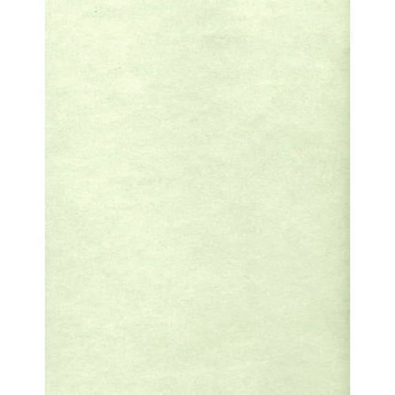 Envelopes.com 8-1/2" x 11" Cardstock, 80 lb