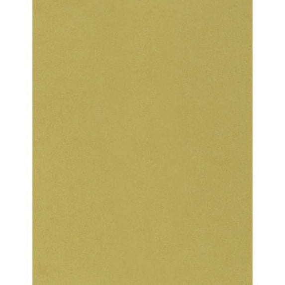 Envelopes.com 8-1/2" x 11" Cardstock, 80 lb