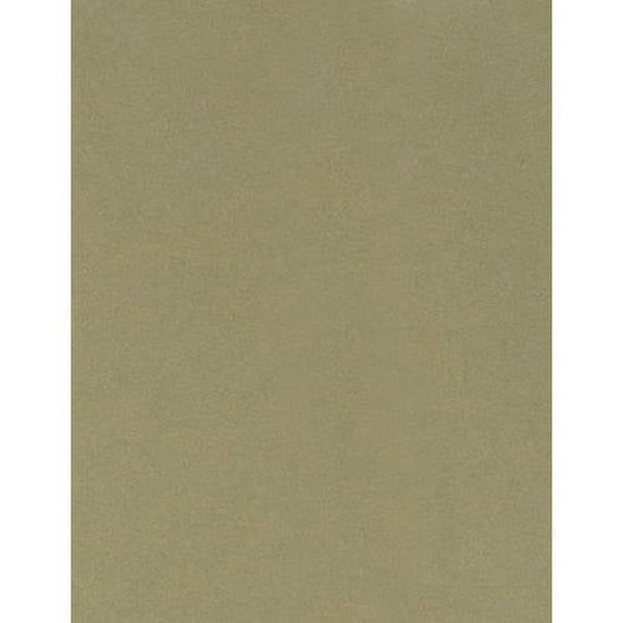 Envelopes.com 8-1/2" x 11" Cardstock, 80 lb