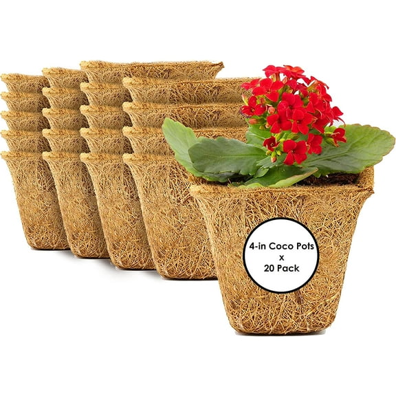 Envelor Coco Coir Plant Pots Seed Starter Tray Biodegradable Seed Starter Pots Coco Peat Pots Seedling Cups Small Plant Pots Germination Nursery Planting Tray Plant Starter Pots, 4 Inches 20 Pack