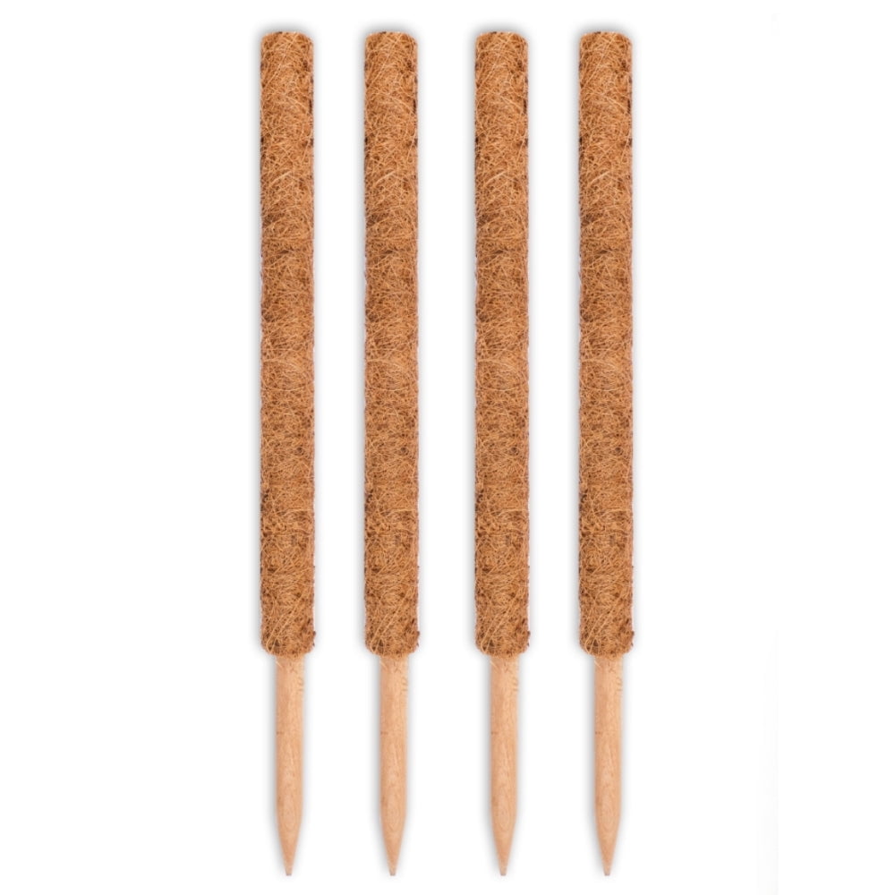 24-Inch Natural Coco Moss Plant Support Stakes, 4-Pack