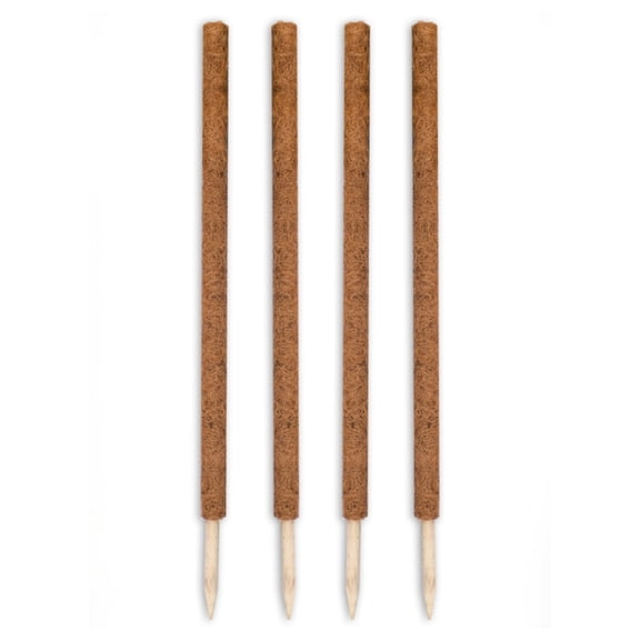 Envelor Coco Moss Poles Plant Support Stakes Coco Plant Stake Pothos Coir Totem Pole Monstera Moss Pole Climbing Plant Support Potted Plant Upward Growth Vine Stackable Coco Sticks, 36 inches, 4 Pack