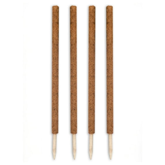 Envelor Coco Moss Poles Plant Support Stakes Coco Plant Stake Pothos Coir Totem Pole Monstera Moss Pole Climbing Plant Support Potted Plant Upward Growth Vine Stackable Coco Sticks, 36 inches, 4 Pack