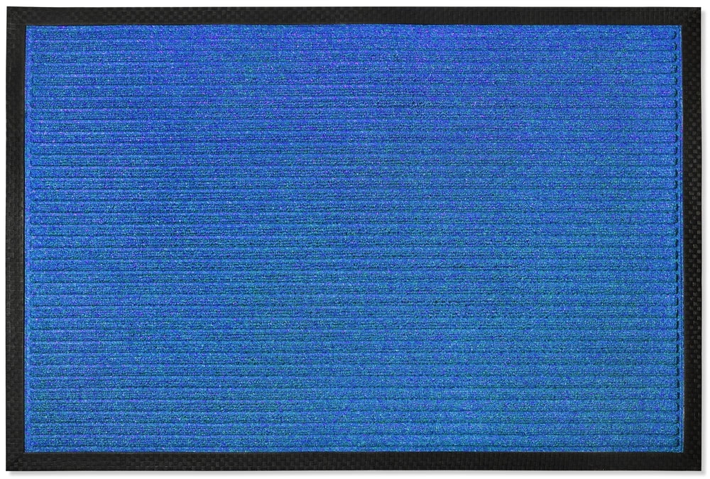 Envelor Front Door Mat Indoor Outdoor Entrance Doormat Non Slip Durable Floor Mat for Entry Mat Kitchen Rugs Home Decor Rugs Heavy Duty Mat Welcome Mat, 24 x 36 Inches, Blue