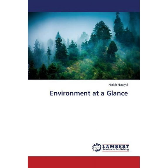 Environment at a Glance (Paperback)