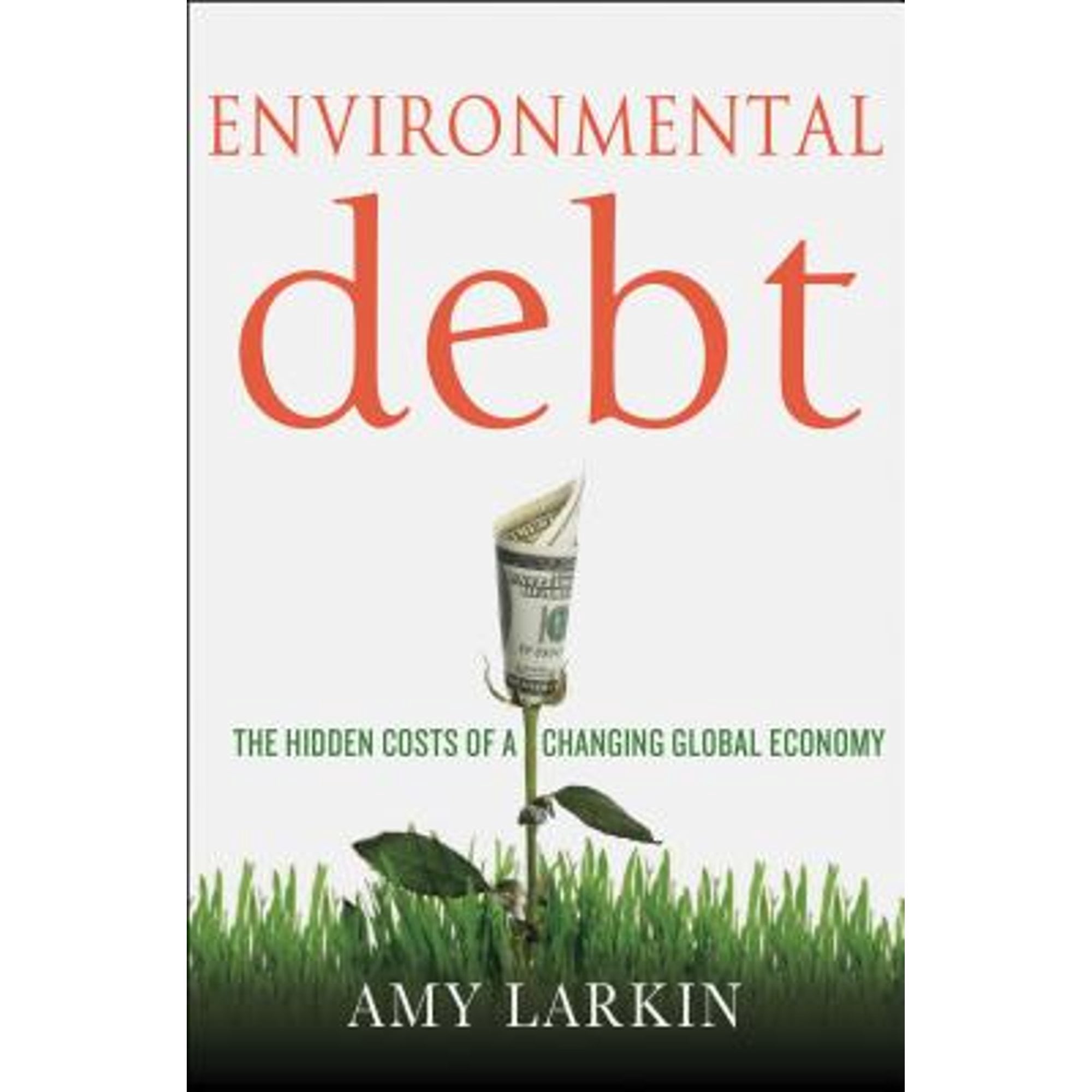 Environmental Debt Environmental Debt : The Hidden Costs of a Changing Global Economy ...