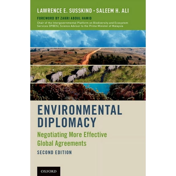 Environmental Diplomacy: Negotiating More Effective Global Agreements, (Paperback)