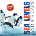 thumbnail image 1 of Environmental Issues: Sea Levels and Ice Caps (Hardcover), 1 of 1