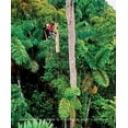 thumbnail image 1 of Pre-Owned Environmental Science (Paperback) 1111988935 9781111988937, 1 of 1