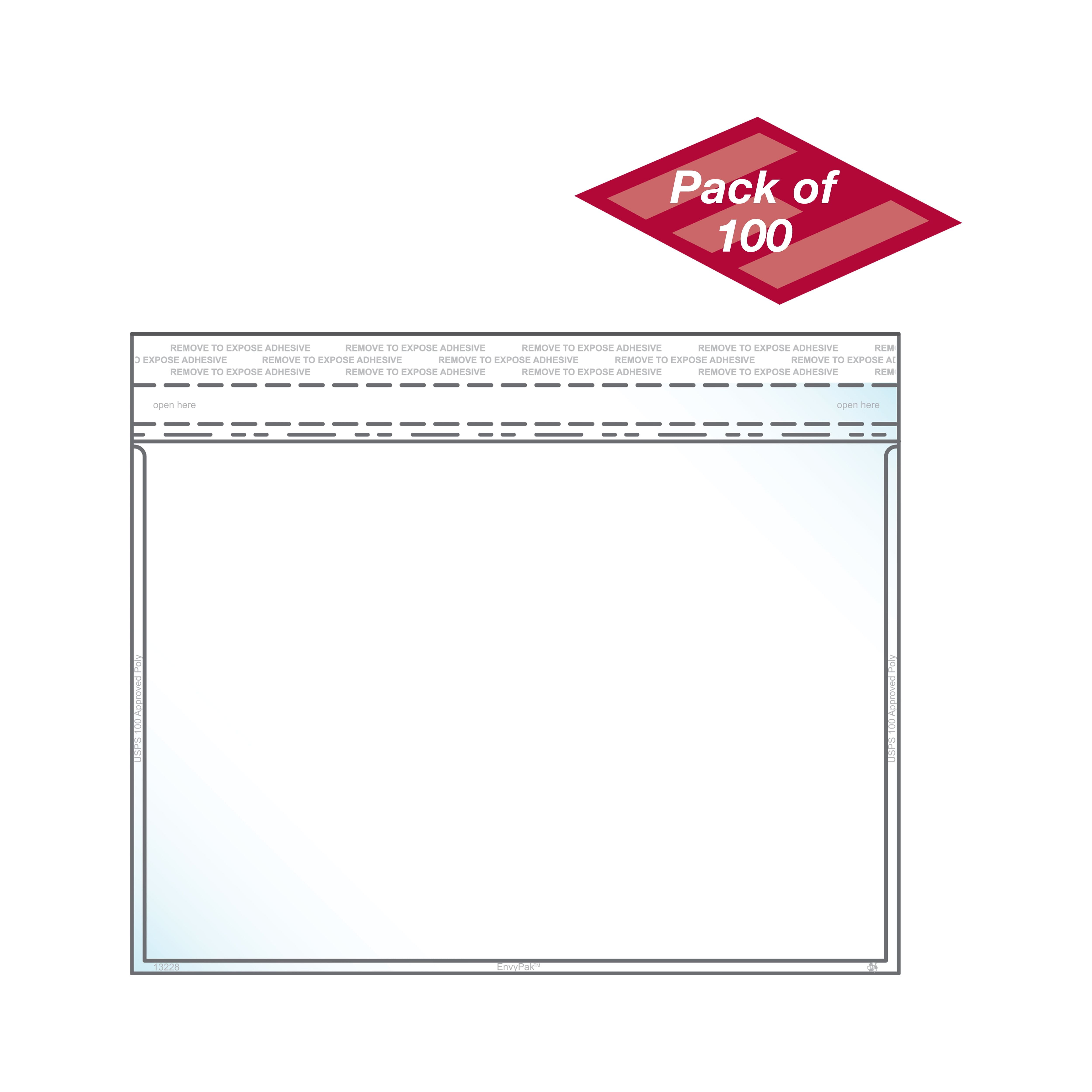 EnvyPak Clear Booklet Envelope - Permanent Peel and Seal Closure Holds ...
