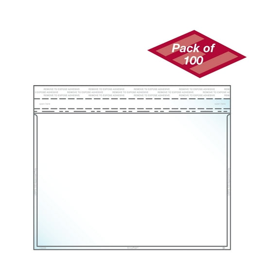 EnvyPak Clear Booklet Envelope - Permanent Peel and Seal Closure Holds 6" x 9" Insert - Box of 100 - Made in USA