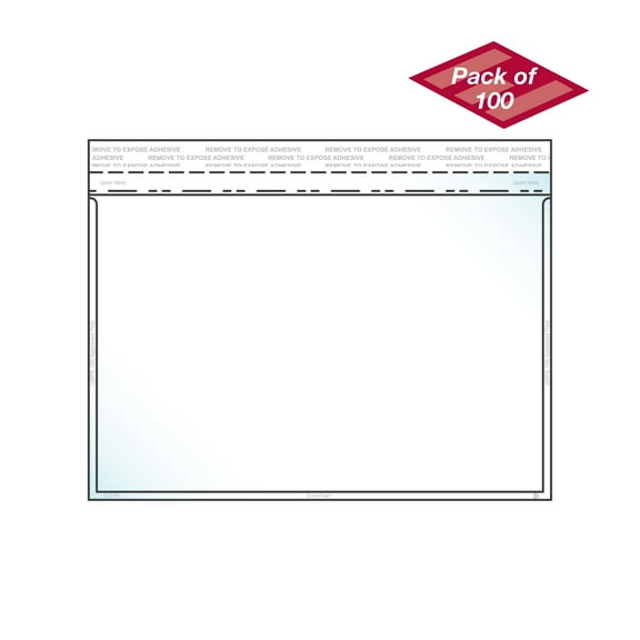 EnvyPak Crystal Clear Booklet Style Envelope 6" x 9", Permanent Tape (5.5″ x 8″ Insert Size) Holds Booklets, Catalogs and Brochures - Box of 100 - Made in USA