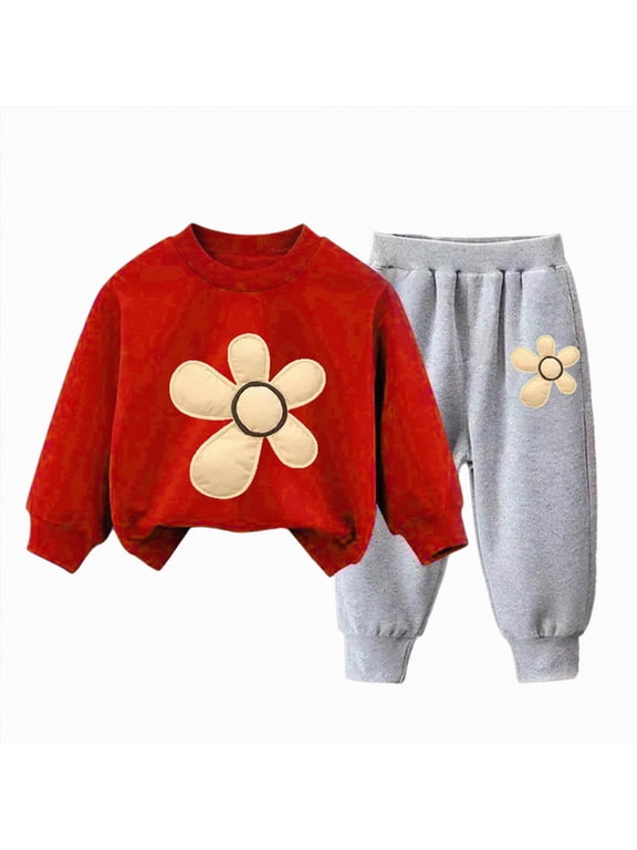 Kids Girls Clothes Size 3T 4T 5T 6T 7T Long Sleeve Graphic Sweatshirt+Pant Set 2Pcs Little Girl Outfit