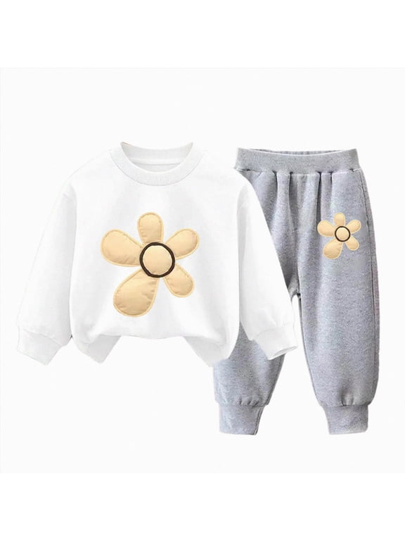 Kids Girls Clothes Size 3T 4T 5T 6T 7T Long Sleeve Graphic Sweatshirt+Pant Set 2Pcs Little Girl Outfit