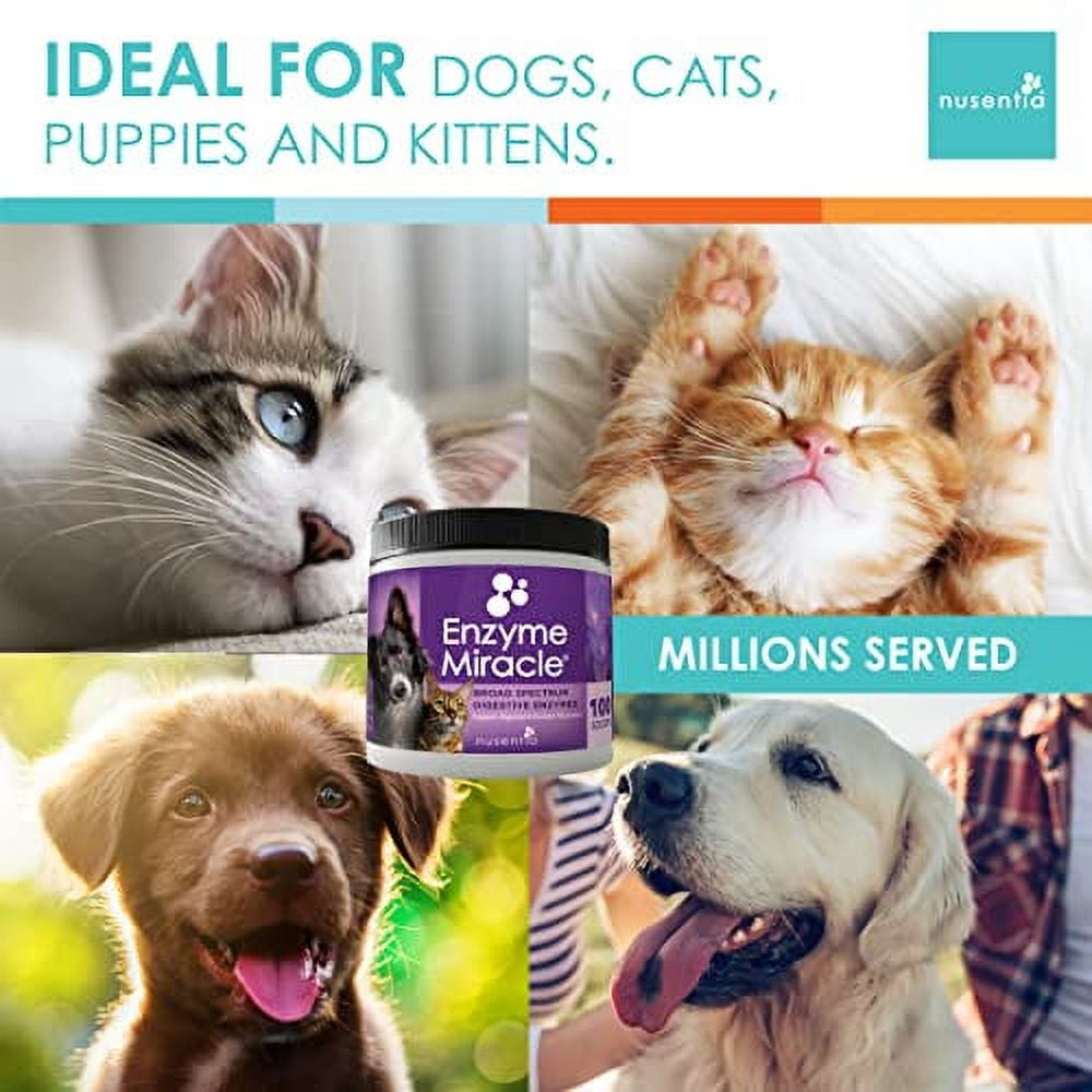 Enzymes for Cats & Dogs Enzyme Miracle® (100 Servings) for