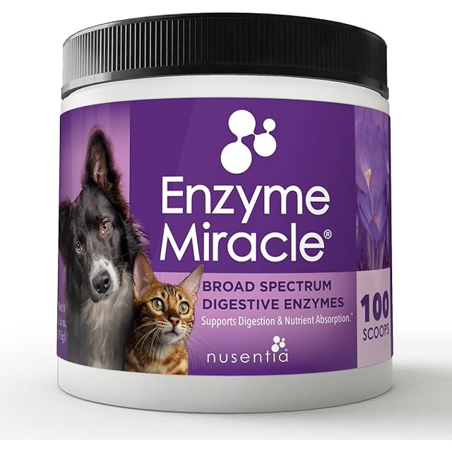 Enzymes for Cats & Dogs Enzyme Miracle® (100 Servings) for Digestive Stress, Pancreatic