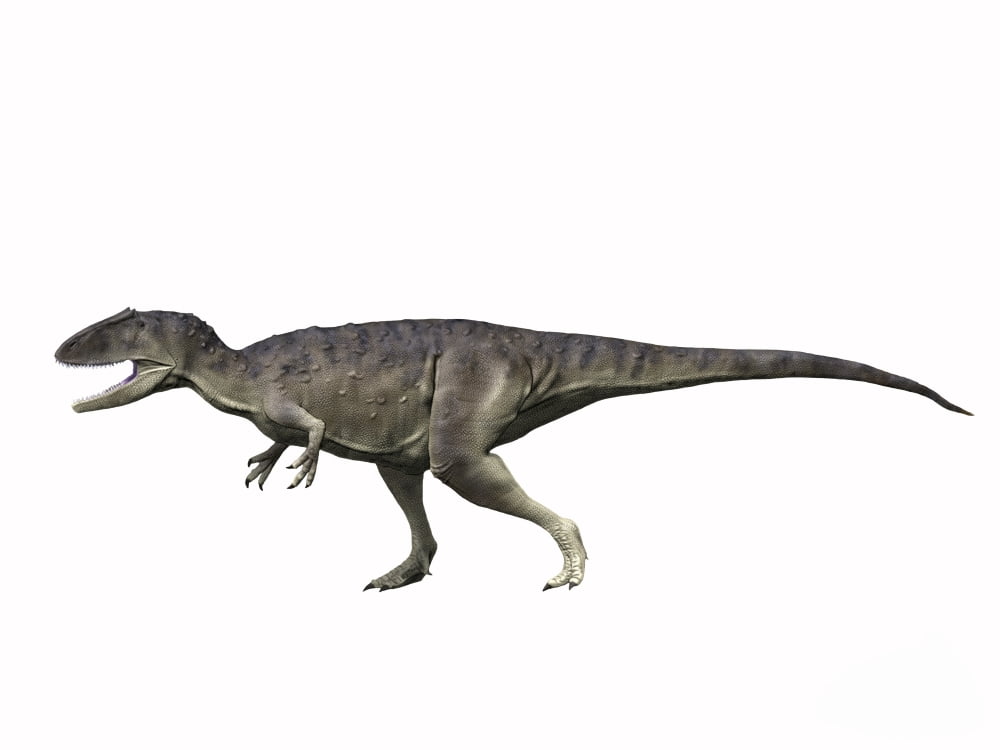 Eocarcharia dinops Early Cretaceous of Niger Canvas Art - Nobumichi TamuraStocktrek Images (17 x 13)