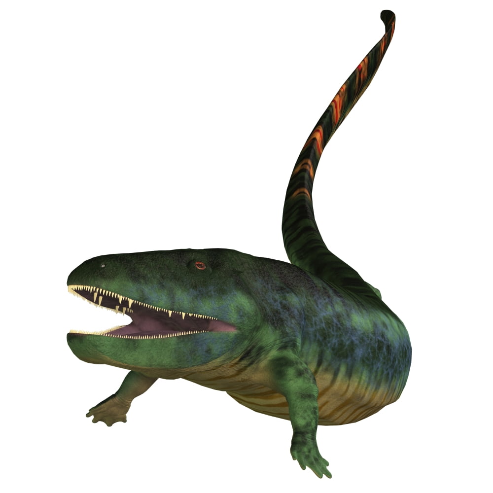 Eogyrinus aquatic tetrapod on white background Canvas Art - Corey FordStocktrek Images (28 x 28)