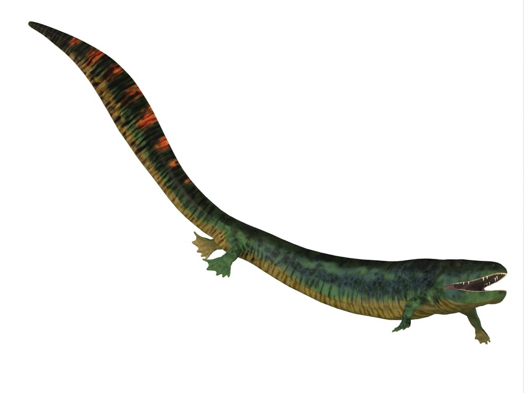 Eogyrinus aquatic tetrapod side view Canvas Art - Corey FordStocktrek Images (32 x 24)