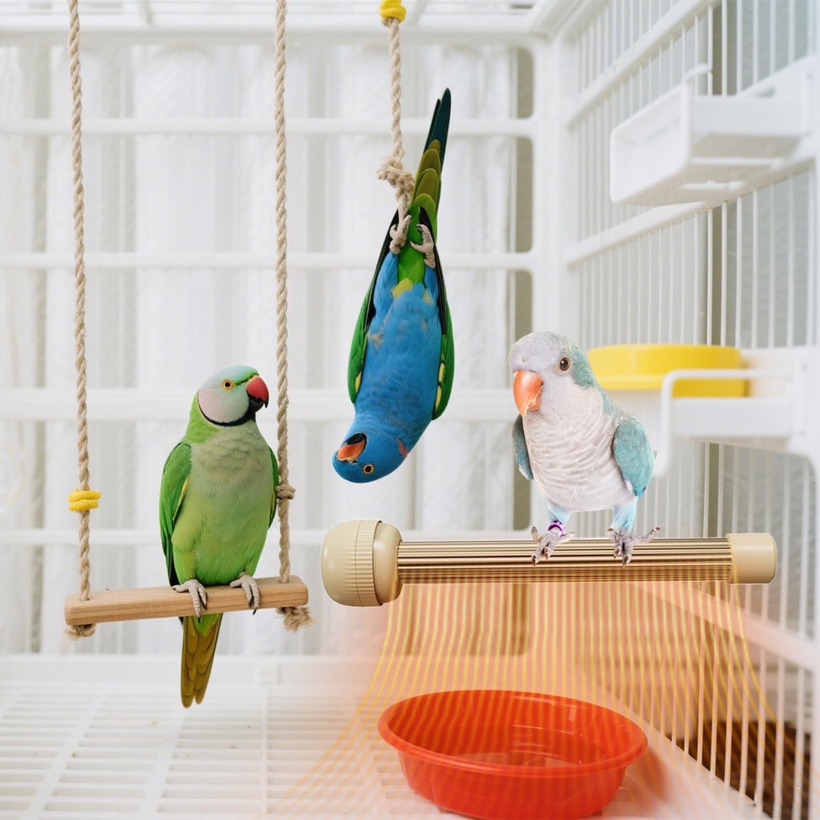Gallery image with a fresh perspective