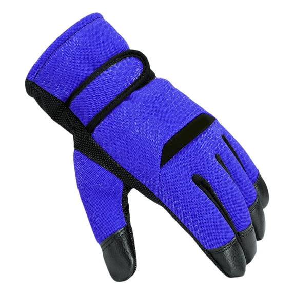 Eolstice Insulated Cold Weather Riding Gloves, Thermal Lined Motorcycle Handwear, Windproof Design for Men Women Winter Commuting