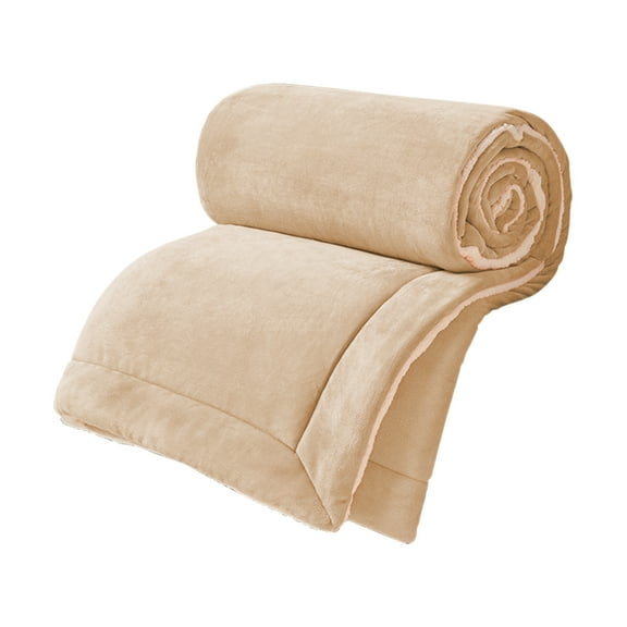 Eolstice Lambswool Double Layer Blanket, Milk Velvet Fuzzy Warm Throw, Reversible Cover for Double Bed Sofa Lounging