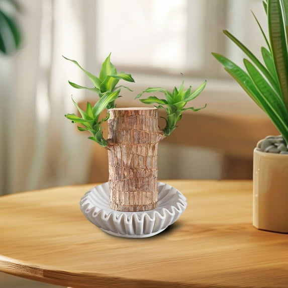 Eolstice Ruffled Decorative Bowl, Elegant Centerpiece For Living Room, Coffee Table, Bookshelf, Console Table Home Decoration, Gift