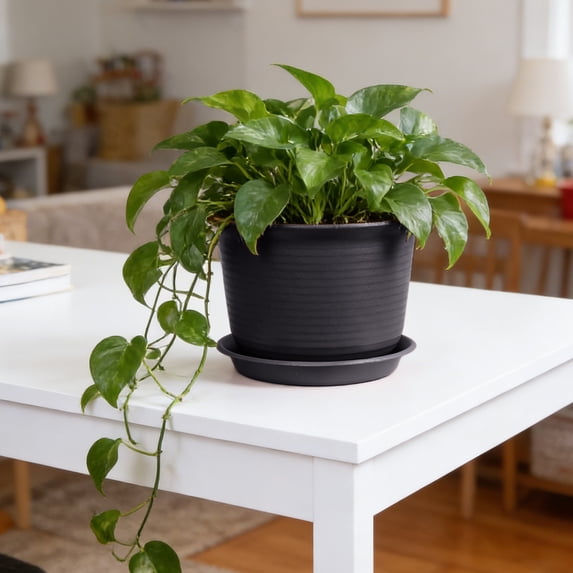 Eolstice Thickened Flower Pot, Decorative Pot with Tray, Sturdy Indoor and Outdoor er for Garden, Home, Patio, and Balcony ing(Black)