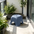 thumbnail image 1 of Eolstice Toilet Step Stool, Low Stepping Stool, Non Slip Base, Enhanced Stability, Bathroom Toilet Stool, Elegant Design, for Living Room and Shower Use, 1 of 6