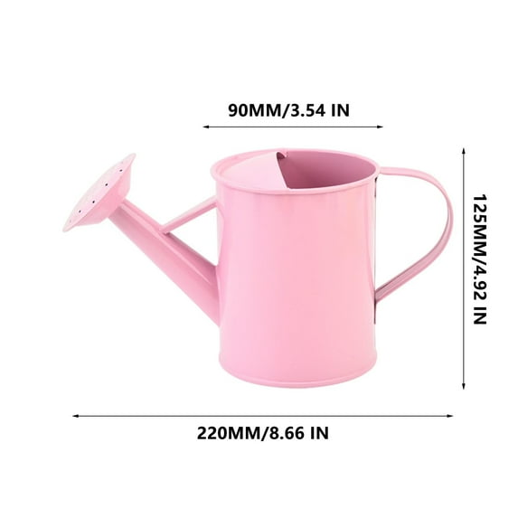 Eoozwa Metal Watering Can,Watering Can Small Iron Watering Can Indoor Plants Sprinkling Kettle with Long Spout,Garden Watering Pot for Outdoor Plants or Play Time