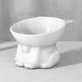 thumbnail image 1 of Eoozwa Plastic Raised Cat Bowl,Tilted Raised Bowl Anti Vomit for Indoor Cats Whisker Friendly Pet Feeder for Cats Puppies, To Protects The Neck, 1 of 6