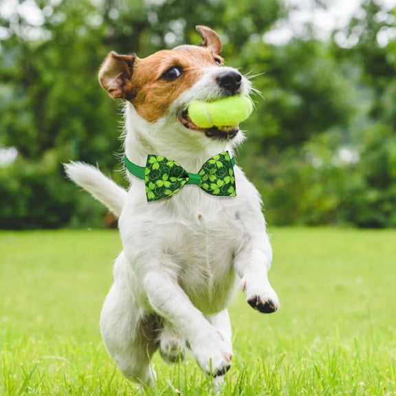 Eoozwa Saint Patricks Day Pet Bow Tie Ribbon Dog Cat Neck Accessory for Holiday Party Festival Irish Themed Pet Decoration