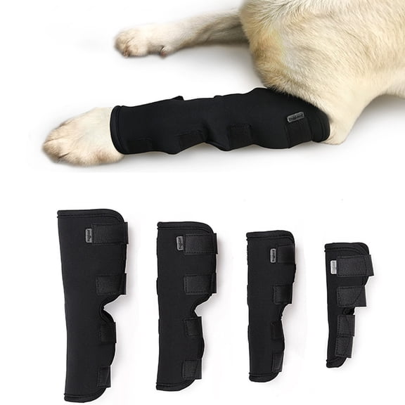 Eoperou 1Pc Shakeproof Pets Leg Wrap Provide Support Neoprene Fabric Flexible Multifunctional Dog Joint Wrap for Home