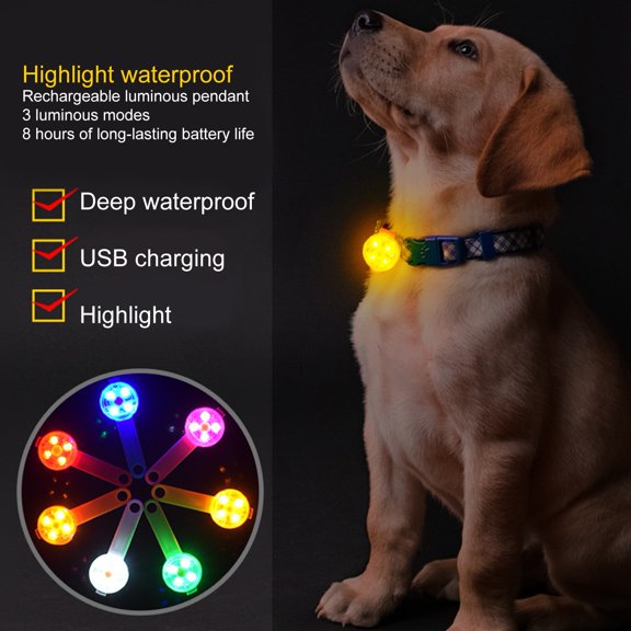 Eoperou LED Flashlight Dog Brand Water-proof Reliable Accessory Dog Luminous Bright Decoration Collars Attaches for Pet
