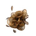 thumbnail image 1 of Eosunjian Cocktail Tea Party Women Headwear Fascinators Hat Feather Floral Mesh Hair Clip (Coffee), 1 of 13