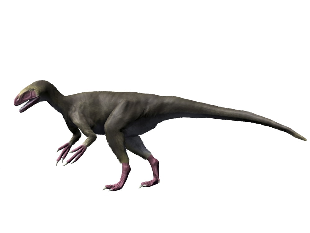 Eotyrannus lengi Ealy Cretaceous of England Canvas Art - Nobumichi TamuraStocktrek Images (17 x 13)