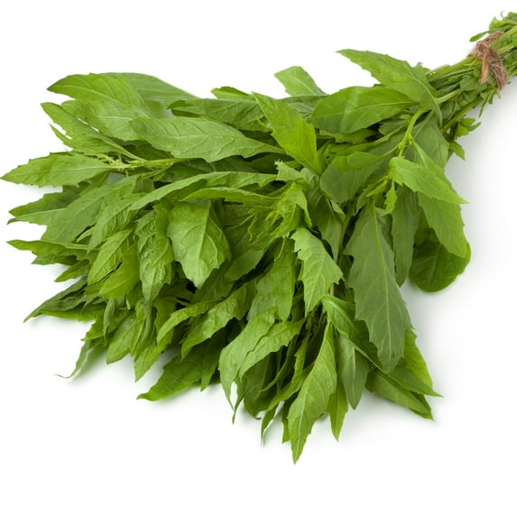 Epazote Seeds - 0.25 Oz ~46,250 Seeds - Dysphania ambrosioides - Culinary Herb Gardening Seeds - Non-GMO, Heirloom, Open Pollinated, Annual