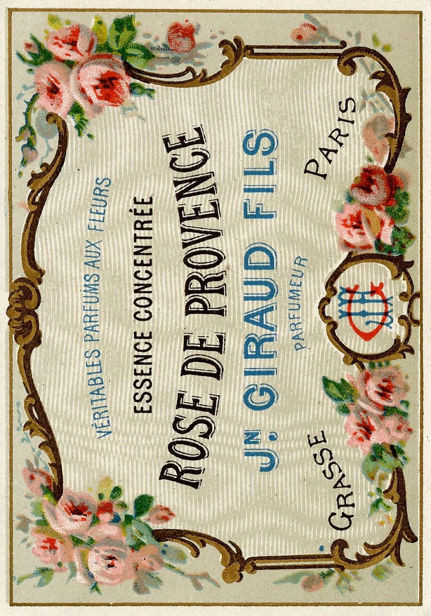 Ephemera Rose de Provence Canvas Art - Unknown (24 x 36)