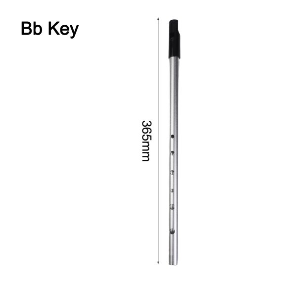 EpheyFIF Irish Tin Whistle Flute in C D Bb Key 6 Hole Traditional for Woodwind Instrument for Beginners and Professionals Bb Key Silver
