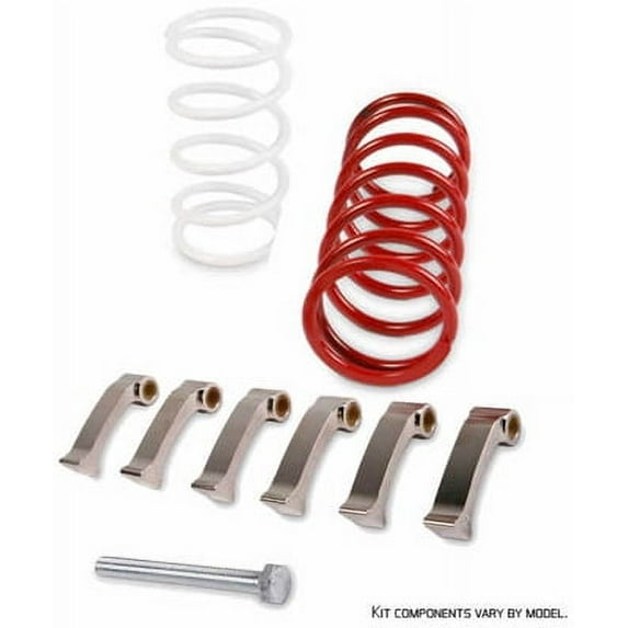 Epi Clutch Kit