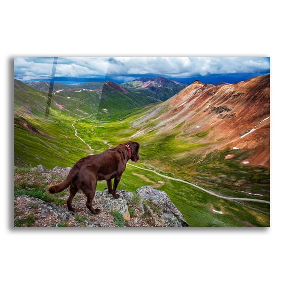 Epic Art 'A Dog On An Adventure' by Jonathan Ross, Acrylic Glass Wall Art, 24"x16"