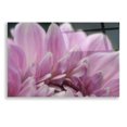 thumbnail image 1 of Epic Art 'A Fresh Start' by Lori Deiter, Acrylic Glass Wall Art, 24"x16", 1 of 3