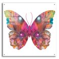 thumbnail image 1 of Epic Art 'Abstract I Butterfly' by Dean Russo, Acrylic Glass Wall Art, 36"x36", 1 of 8
