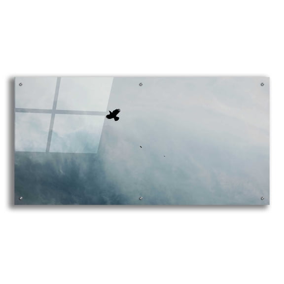 Epic Art 'Adventurous' by Epic Portfolio, Acrylic Glass Wall Art, 48"x24"