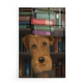 thumbnail image 1 of Epic Art 'Airedale and Books' by Fab Funky, Acrylic Glass Wall Art, 16"x24", 1 of 3