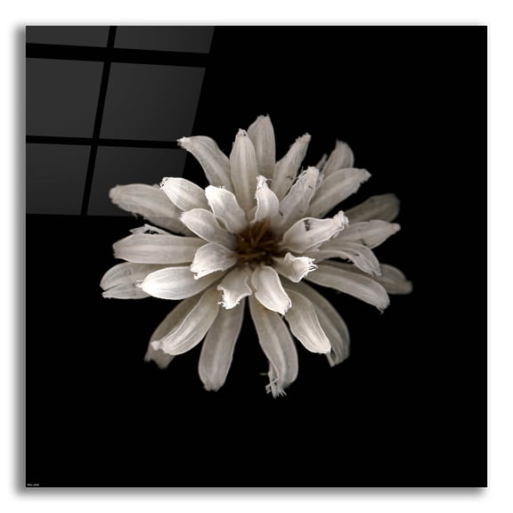 Epic Art 'All White' by Photoinc Studio, Acrylic Glass Wall Art, 12"x12"