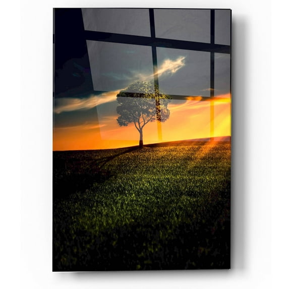 Epic Art "Alone In Peace" Acrylic Glass Wall Art, 12"x16"